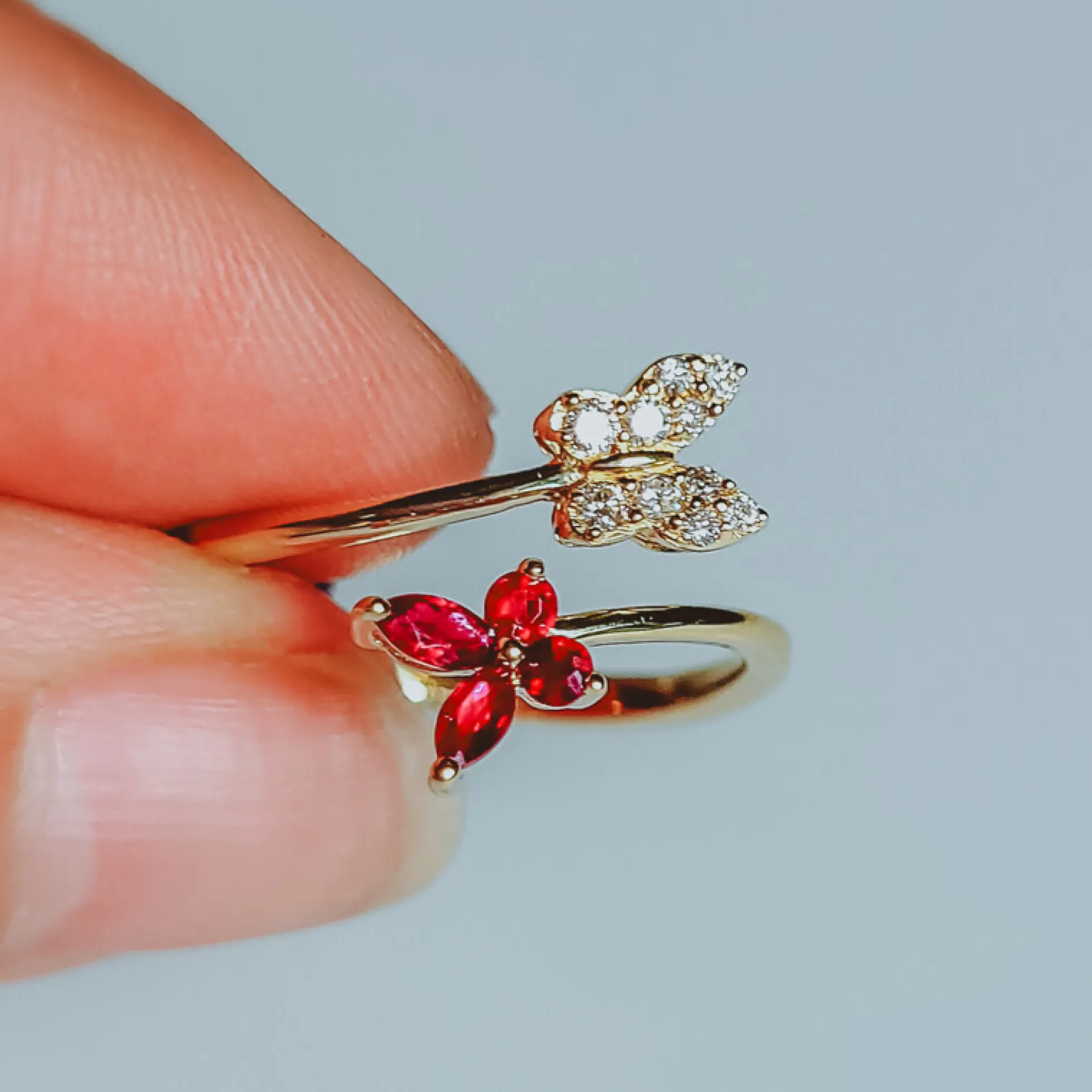 AAA-Mosambik-Rubin-Goldring