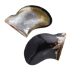 Abalone-Muschel