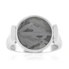 Aletai-Meteorit-Silberring