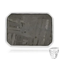 Aletai-Meteorit-Silberring