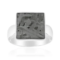 Aletai-Meteorit-Silberring