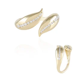 IF (G) Brillant-Goldring