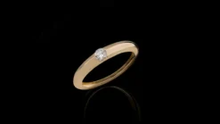 IF (G) Brillant-Goldring (de Melo)