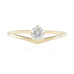 IF (G) Brillant-Goldring (de Melo)