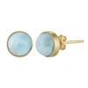 Larimar-Silberohrringe