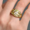 SI2 Fancy-Brillant-Goldring