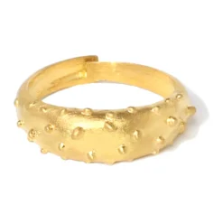 Silberring