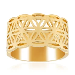 Silberring