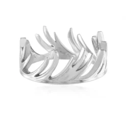 Silberring