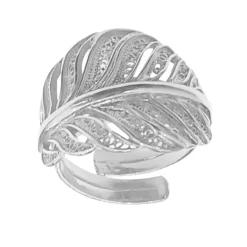Silberring
