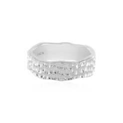 Silberring