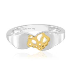 Silberring