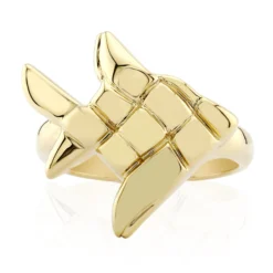 Silberring