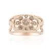 VS1 Argyle-Rose de France-Brillant-Goldring