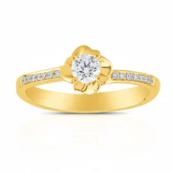 VVS1 (G) Brillant-Goldring